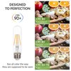 Simba Lighting LED T10 Tubular Edison Filament Light Bulbs (3 Pack) 6W Dimmable 60W Equivalent 120V for Cabinet Display, Piano Lamps, Clear Glass Decorative, Standard Medium E26 Base, Warm White 2700K