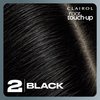 Clairol Root Touch-Up Permanent Hair Color Creme, 2 Black, 2 Count
