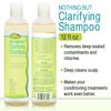 NOTHING BUT Clarifying Shampoo Sulfate-Free Detox for Natural Hair - Hair Shampoo - Removes Buildup - 12oz - Single