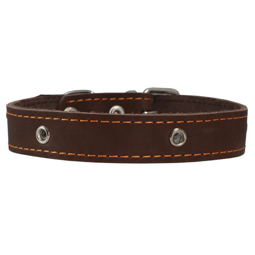 Genuine Leather Studded Dog Collar, Brown, 1" Wide. Fits 13"-17.5" Neck Size
