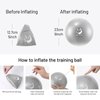 Slim Panda Pilates Ball 2 Pcs,9 Inch Small Exercise Ball, Therapy Ball, Core Ball, Mini Yoga Ball for Pilates, Balance, Stability, Workout, Core Training and Physical Therapy