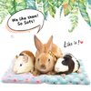 4 Pieces Rabbit Bunny Bed Guinea Pig Bed Mats Plush Bunny Pad Mats Small Animal Dog Cat Bed Dog Crate Kennel Pad Mat Hamster Cozy Dog Bed Mat for Small Animal (Heart Pattern, 10 x 11 Inch)