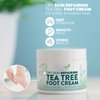Eva Naturals Tea Tree Foot Cream - Foot Lotion with Peppermint, Menthol and Spearmint - Soothing Foot Cream Treatment for Dry Cracked Heels and Feet