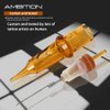 Ambition Glory Tattoo Cartridges #8 Bugpin 15RM Needles Disposable 20pcs 0.25mm 15 Curved Magnum for Rotary Tattoo Machine Supply