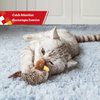 Gigwi Interactive Electronic Cat Toy (Not Flapping), Automatic Chirping Bird Cat Toy Squeaky with Feather Tail, Melody Chaser Toy Bird for Cats to Play Alone, Play and Squeak Kitten Toy for Boredom