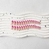 30 PCS Hot Pink French Tip Press on Nails Almond Short,SXVME Fake Nails Glue on Nails Medium,Gel Nails Static Nails,Acrylic Nails Press ons Medium Length,Short False Nails Stick on Nails for Women
