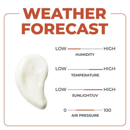 Pour Moi Desert Day Cream | Climate-Smart Semi-lightweight Luxurious Age Defying Face Cream Formulated to Geo-moisturize in Skin-wrecking Desert Climate for Remarkable Anti-aging Results