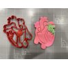 Heart Anatomy Cookie Cutter