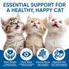 PurrVita Taurine Supplement for Cats, Taurine for Cats, Taurine Powder, Protect Heart, Eyes, and Immune Function for Cat-200G (1)