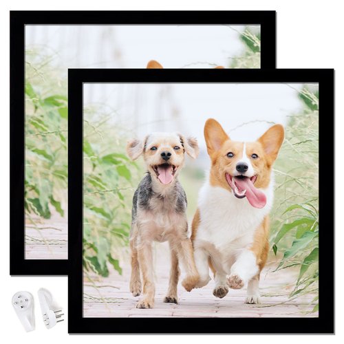 icariery Black 12x12 Picture Frame Set of 2, High Transparent Picture Frames for 12 x 12 Square Photo Canvas Collage Poster Certificate Wall Gallery Horizontal Vertical 12 By 12