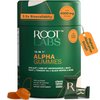 ROOT LABS 10-in-1 Alpha Shilajit Gummies | 4000 mg Pure Himalayan Shilajit, Tongkat Ali, Maca Root, 75% Fulvic Acid | ShilAbsorb Bioavailability Tech | Sugar-Free Vegan, 85+ Trace Minerals | 60 Pack