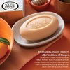 Orange Blossom Honey Clean Bar Soap by South of France Clean Body Care | Triple-Milled French Soap with Organic Shea Butter + Essential Oils | Non-GMO Body Soap | 6 oz Bar ? 4 Pack