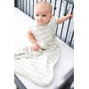 Ecolino Organic Cotton Baby Sleep Sack - 2-Way Zipper Baby Wearable Blanket - Toddler Sleeping Bag Sack - 18-36 Months - Silver