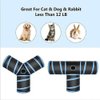 27PCS Cat Feather Toys Kitten Interactive Pet Toys Set for Indoor Cats Including 3 Way Collapsible Cat Tunnel Tube Tent Feather Teaser Wand Bell Fuzzy Ball Spring and Mouse Toy