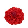 Koolgil Women's Bohemia Peony Flowers Hairpin Hair Clip Flower Brooch for Travel Party Festivals (Red #)