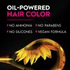 Garnier Olia Hair Color, Oil Powered Ammonia Free Permanent Hair Dye for Long-Lasting Hair Color, 6.65 Intense Red, 2 Hair Dye Kits