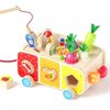 Dailyfunn Montessori Toys for Babies Toddlers Boys Girls1-3 Years Old Multifunctional Pull Toy Fishing Game Carrots Harvest Game Shape Sorter