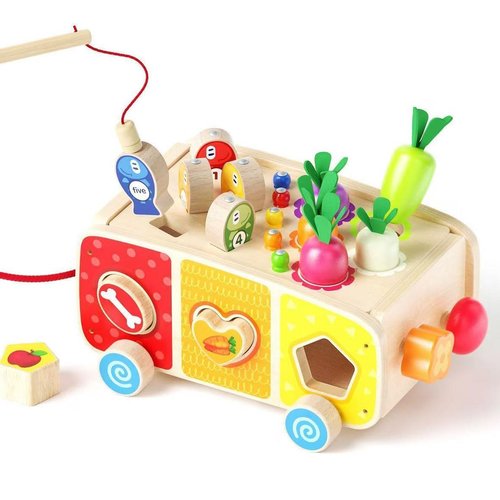 Dailyfunn Montessori Toys for Babies Toddlers Boys Girls1-3 Years Old Multifunctional Pull Toy Fishing Game Carrots Harvest Game Shape Sorter