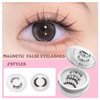 3D Magnetic Lashes, No Glue, 2 Pairs with Applicator and Mirror Box, Reusable