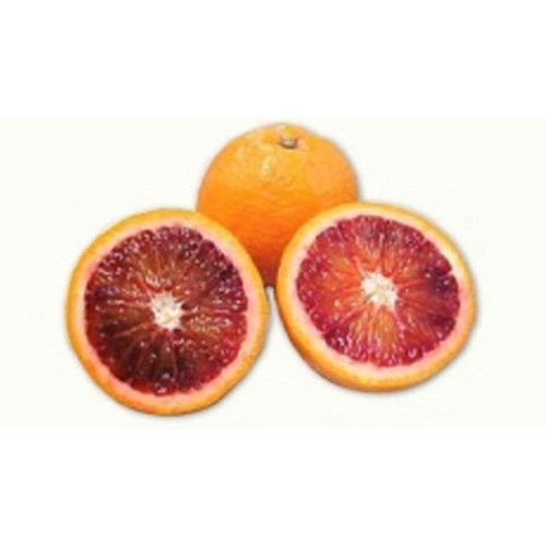 Blood Oranges Bulk 18 Lb Case - Exotic and Antioxidant-Rich Citrus for Culinary Excellence