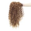 SWACC 20-Inch Long Big Bouffant Curly Wigs for Women Synthetic Heat Resistant Fiber Hair Pieces with Wig Cap (Light Brown Auburn Blonde Mixed)