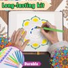 Insnug Mandala Dotting Tools Painting Kit - Rock Dot Paint Stencils Tool Set Art Craft Supplies Kits Tray Brush Zipper Pen for Nail Stone Mandala Arts Drawing Home Decor Activity | Mothers Day Gift