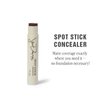 Jillian Dempsey Spot Stick Concealer | Easy Blending Matte Concealer for Blemishes & Uneven Skin Tones | Shade No. 13: Deep with Plum Undertones