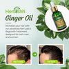 Herbishh Ginger Hair Oil - Fast Thickening and Regrowth Serum for Dense Hair - Best Compact 30ml Care Product for Women & Men