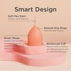 Saalt Soft Menstrual Cup - Best Sensitive Reusable Period Cup - Wear for 12 Hours - Tampon and Pad Alternative (Regular Grey, Small Desert Blush, Regular Grey, Small Desert Blush)