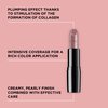 ARTDECO Perfect Color Lipstick - Royal Rose - Glide-On Lipstick with Rich Color & Plumping Effect - Creamy, Pearly Finish - Hyaluronic Acid - Long Lasting - Lip Plumper - Lip Care - Makeup - 0.14 Oz