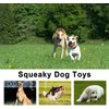 LEGEND SANDY 14 Pack Dog Squeaky Toys Cute Stuffed Plush Fruits Snacks and Vegetables Dog Toys for Puppy Small Medium Dog Pets