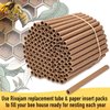 Rivajam 125 Mason Bee House Cardboard Nest Tubes Refill Pack | Solitary Bee Hive & Mason Bee Supplies | Mason Bee Starter Kit & Bee Habitat Garden Gift | Bee Hotels Tubes & Bee Nest Box Inserts Liners