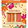 Burt's Bees Gifts, 4 Lip Balm Products, Just Picked Set - Pomegranate, Sweet Mandarin, Coconut Pear & Watermelon (4 Pack)