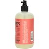Mrs. Meyer's Liquid Hand Soap Rhubarb 12.5 OZ
