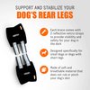 NeoAlly - Short Rear Leg Hock Brace, Dog Leg Brace for Rear Leg, Hock & Ankle Support, Dog Brace for Torn ACL & CCL, Dog Leg Sleeve with Reflective Straps, XL, Black, 1 Pair