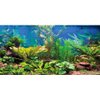 AWERT 48x24 inches Aquarium Background Aquatic Plant River Bed & Lake Fish Tank Background Vinyl