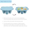 BIGSPINACH Baby Food Feeder Pacifier with Breast Milk Popsicle Teether-Silicone Forage Feeder for Babies-Breastmilk Storage Container and Freezer Tray-Teething Popsicle Molds for Soothing Relief