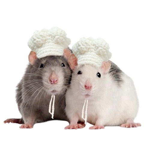 Guinea Pig Chef Hat - Hand Knitted Small Animal Cooking Chef Cap with Adjustable Strap Halloween Costume Outfit Prop Clothes Accessories for Rabbit Bunny Chinchilla Kitten Puppy (Small)