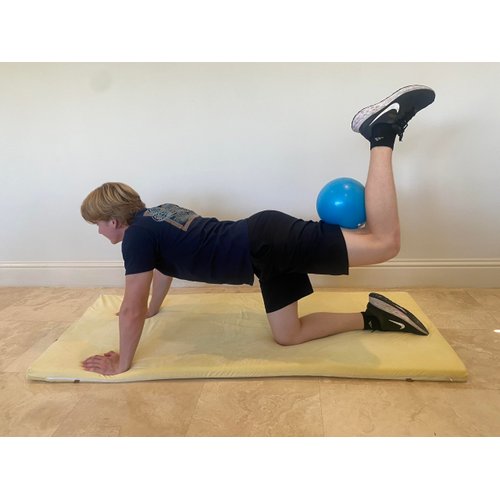 Therapist's Choice® Mini Exercise Ball 23cm (9" Diameter)