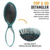 Wet Brush Pop Go Detangler Assortment Exclusive Ultrasoft IntelliFlex Bristles Blue, Teal