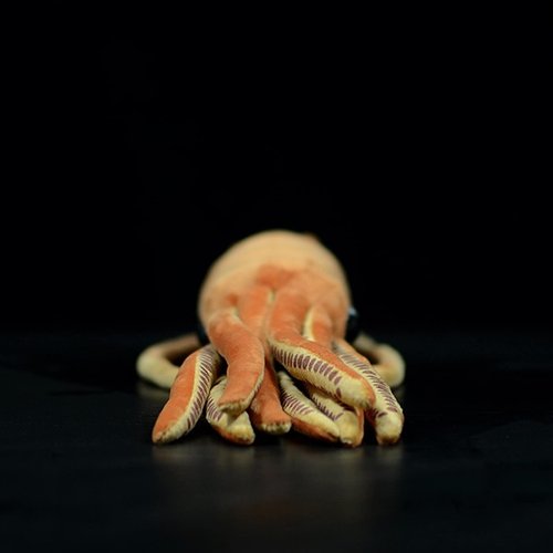 Tiny Heart Simulation Squid Plush Toy, 30 Inch Super Soft Cute Realistic Ocean Stuffed Plush Animal Toy Boy Girl Birthday Gift Home Decor Throw Pillow