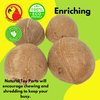 Bonka Bird Toys 1031 Pk4 Half Shell Coconuts Natural Forage Chewing Party Arts Craft Parrot Macaw African Grey