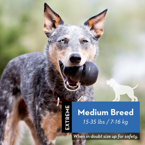 KONG Extreme Dog Toy - Fetch & Chew Toy - Treat-Filling Capabilities & Erratic Bounce for Extended Play Time Most Durable Natural Rubber Material - for Power Chewers - for Medium Dogs