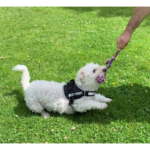 4LegsFriend 6 Pack Dog Puppy Pet Cotton Rope Toys for Small to Medium Dogs. Puppy Chew Teething Machine Washable Dental Floss Toys, Tug Toy Set