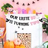 Pink Our Little Boo is Turning Two Banner for Halloween Birthday Party Decorations Halloween Birthday Banner Decorations for Girl Halloween 2nd Birthday Decorations for Girl