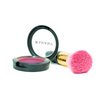 SHANY Paraben Free Powder Blush - LOLLIPOP