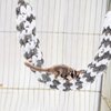 TEHAUX Sugar Glider Climbing Rope Cage for Guinea Pigs, Hamster, Ferret, Mouse, Pet Toys