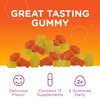 Zahler - Chapter One Kids Multivitamin Gummy with 13 Vitamins & Nutrients (60 Flavored Gummies) - Certified Kosher Kids Vitamins Including Vitamin C, D3, Zinc & More - Delicious Multivitamin Gummies