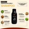 Black Garlic Hair Loss Shampoo by NATUREPOP - Prevents Hair loss, Stimulates growth - Sulfate Free Paraben Free - Ajo Negro Shampoo para la caida del cabello 16.9 fl oz/ 500 mL Made in Korea