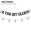 Birthday Banner Pre-Strung Martini Party Decorations A Tini Bit Older Martini Bar Party Supplies